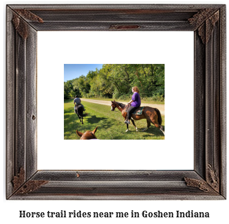 horse trail rides near me in Goshen, Indiana